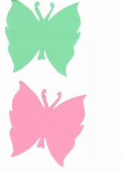 mini-papillon-vert-rose.jpg