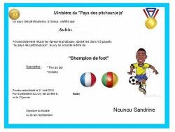 Mini internet diplome aubin 2017