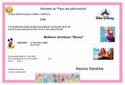 Mini internet diplome lou 2020