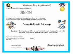 Mini internet diplome simon 2021