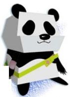 panda-modele.jpg